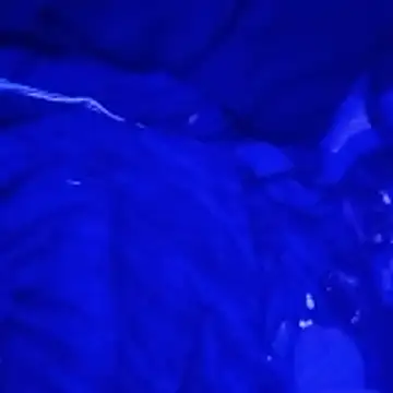 johnboones10 online show from 03-04-26, 09:15