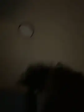 bunbun420247 online show from 12-05-25, 11:30