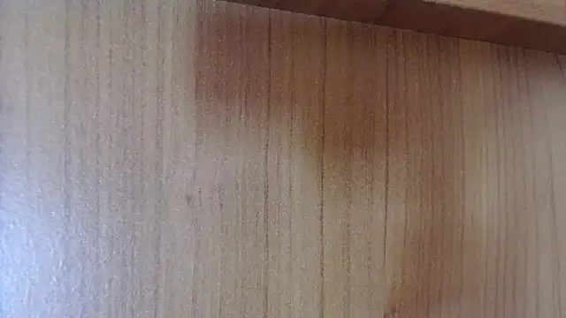 Pamela-StripX online show from 12-14-25, 09:08