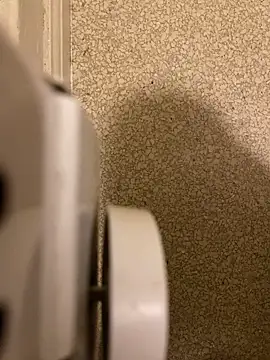 Pedro98801 online show from 12-18-25, 03:56