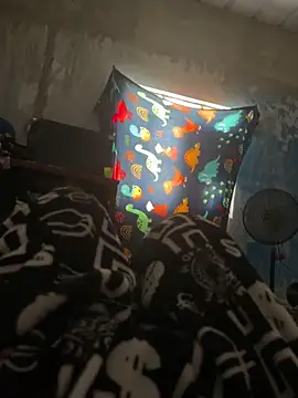 FromVnz online show from 11-15-25, 12:45