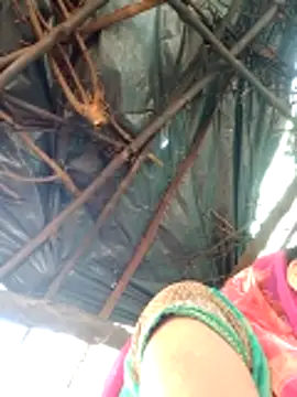 H seema online show from 04-12-26, 02:27