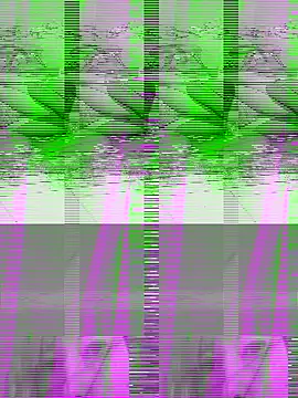 couple2612 online show from 10-07-25, 09:39