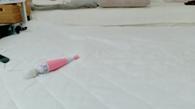 -barbapapa- online show from 03-27-26, 10:48