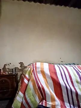 average price online show from 11-12-25, 04:13