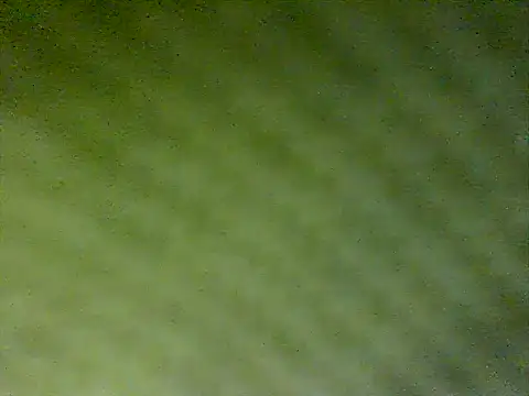 honestglacier9 online show from 10-17-25, 07:27