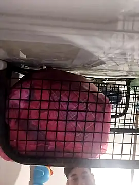 Snapshot of Ferxxxo1503 chatting on 11-05-25, 06:24 Ferxxxo1503 online show from 11-05-25, 06:24