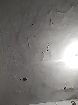 Snapshot of Ferxxxo1503 chatting on 11-08-25, 07:41 Ferxxxo1503 online show from 11-08-25, 07:41