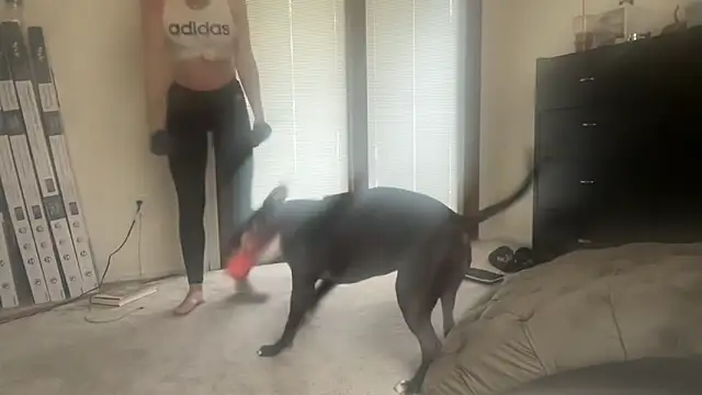 NurseStephania online show from 11-13-25, 07:46