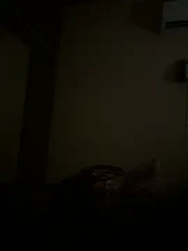 Chaitu-teluguhot online show from 12-16-25, 10:04