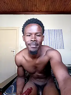 donchico0 online show from 11-05-25, 07:41