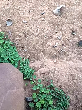 Ag punam online show from 02-10-26, 02:15