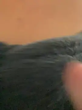    seusegredo online show from 02-04-26, 06:03