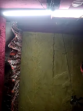 Suman ji1 online show from 11-25-25, 01:44