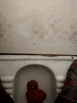 Snapshot of haryanaboypanipat12 chatting on 03-17-26, 01:21 haryanaboypanipat12 online show from 03-17-26, 01:21