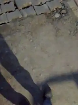 Snapshot of haryanaboypanipat12 chatting on 03-17-26, 01:25 haryanaboypanipat12 online show from 03-17-26, 01:25