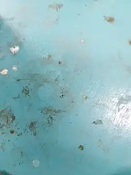 Snapshot of haryanaboypanipat12 chatting on 04-09-26, 07:25 haryanaboypanipat12 online show from 04-09-26, 07:25