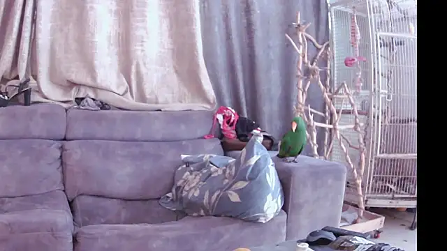 Alexis21821 online show from 11-13-25, 07:18