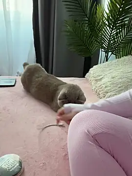 Andrestarr online show from 03-14-26, 02:55