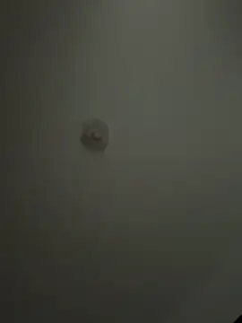 Andrestarr online show from 04-02-26, 02:04