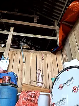 bonnie-00 online show from 02-15-26, 08:24