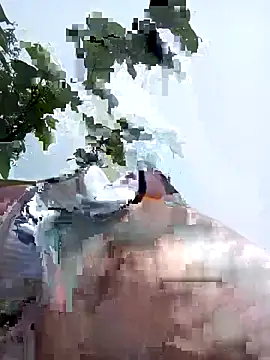 Snapshot of bonnie-00 chatting on 05-06-26, 02:29 bonnie-00 online show from 05-06-26, 02:29