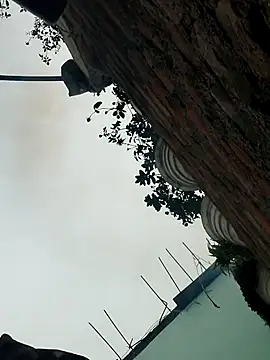 SexyIra89 online show from 12-19-25, 03:35