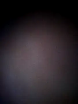 thehotlady online show from 10-24-25, 08:44