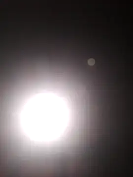 Cachorrinha2025 online show from 10-22-25, 05:45