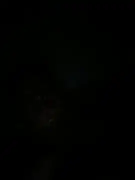 Snapshot of RangingWarranty chatting on 10-20-25, 07:20 RangingWarranty online show from 10-20-25, 07:20