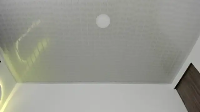 brandy h9 online show from 01-17-26, 03:11