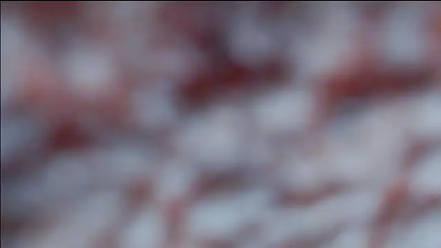 hsua0098 online show from 04-16-26, 10:34