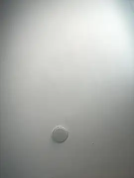 Snapshot of MisteryNight4 chatting on 10-05-25, 07:45 MisteryNight4 online show from 10-05-25, 07:45