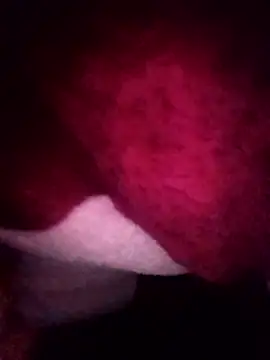 gccnfxdgg online show from 01-16-26, 02:54