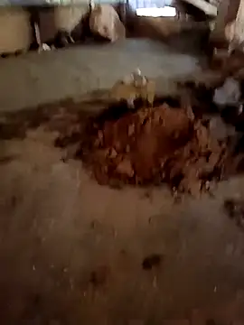 callistra online show from 01-13-26, 06:51