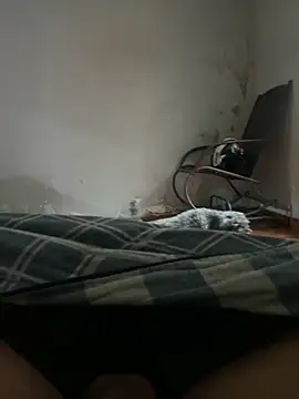 sambergSILVa online show from 11-08-25, 12:38