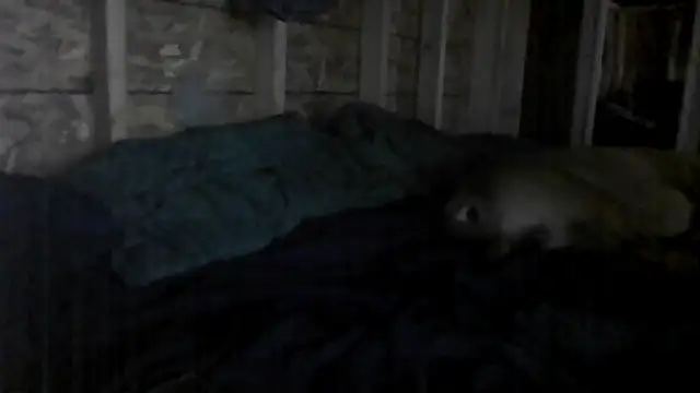 Snapshot of stuandangie28129r chatting on 07-09-26, 05:00 stuandangie28129r online show from 07-09-26, 05:00