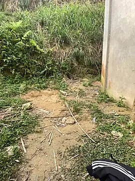 phuongxinhxan online show from 03-31-26, 01:40