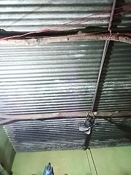 Haliya88 online show from 10-29-25, 10:55