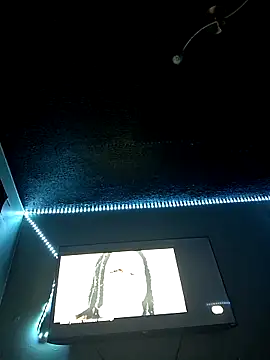 Snapshot of Painstickwes chatting on 02-05-26, 09:52 Painstickwes online show from 02-05-26, 09:52