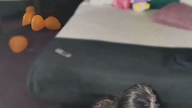 MeganSin  online show from 11-06-25, 05:30