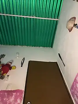 Pingasaboy20 online show from 03-11-26, 09:21