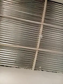 kingbickcockDn online show from 11-23-25, 05:35