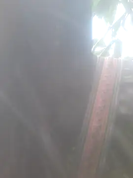 Snapshot of bree-zz chatting on 11-10-25, 01:48 bree-zz online show from 11-10-25, 01:48