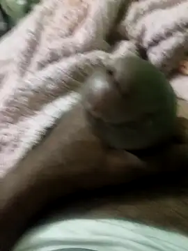 sam salman online show from 02-09-26, 10:03