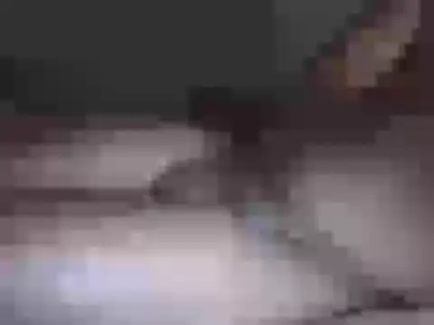 Hhhggghrrr3219 online show from 03-17-26, 07:17