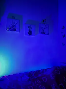 Solaangel  online show from 12-17-25, 11:44