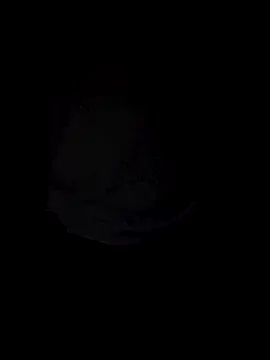 Curious9884 online show from 10-04-25, 01:31