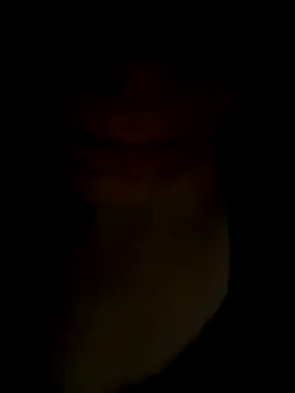 pleasedontpressaredburton online show from 11-14-25, 01:04