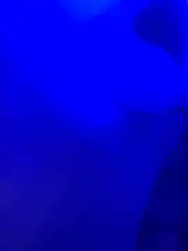 Dammianmiller online show from 02-24-26, 03:26